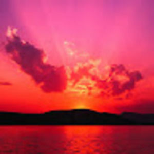 Meet your Posher, Katelynn